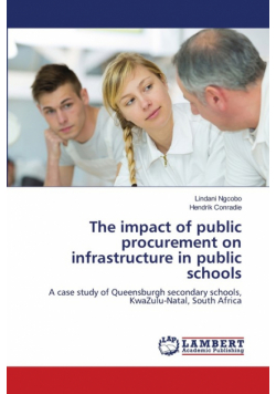 The impact of public procurement on infrastructure in public schools