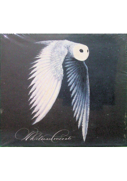 Wilderness Concerto Nowa