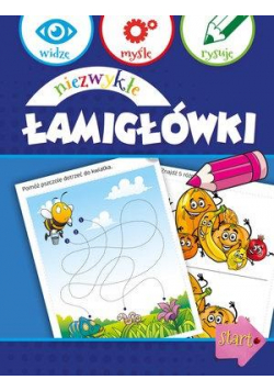 Widzę, myślę, rysuję. Niezwykłe łamigłówki