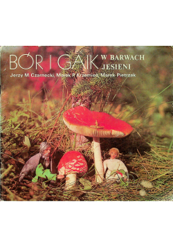 Bór i gaik w barwach jesieni