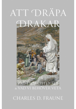 Slaying Dragons/Att Dräpa Drakar