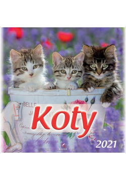 Kalendarz 2021 Ścienny Koty