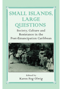 Small Islands, Large Questions