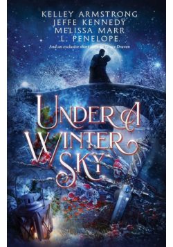 Under a Winter Sky
