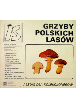 Grzyby polskich lasów