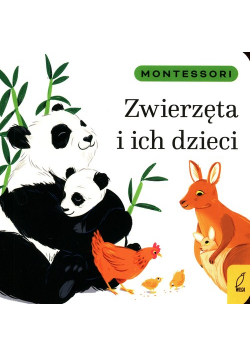 Montessori Zwierzęta i ich dzieci