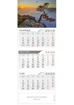 Kalendarz 2020 Trójdzielny Sosna CRUX