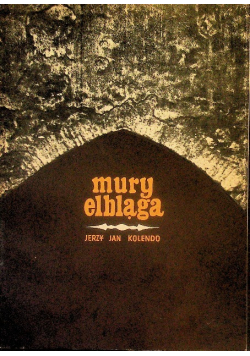 Mury Elbląga