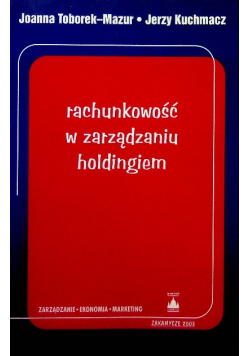 Rachunkowość w zarządzaniu holdingiem