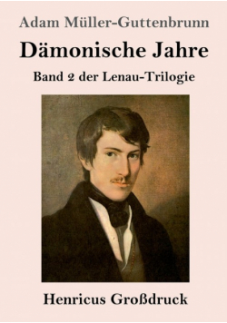 Dämonische Jahre (Großdruck)