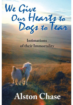 We Give Our Hearts to Dogs to Tear