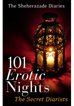 101 Erotic Nights