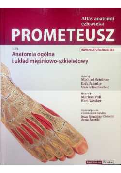 Prometeusz Atlas anatomii człowieka Tom 1