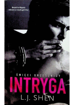 Święci Grzesznicy Intryga
