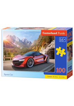Puzzle Sports Car 100