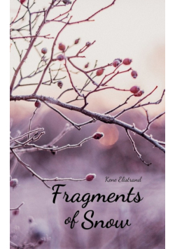 Fragments of Snow