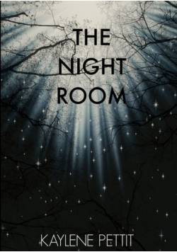 The Night Room
