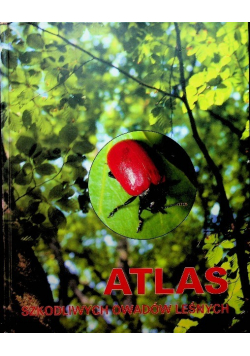 Atlas szkodliwych owadów leśnych