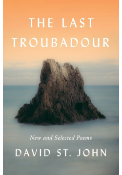 Last Troubadour, The