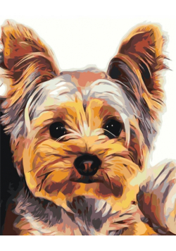 Malowanie po numerach - 30x40cm York