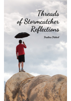 Threads of Stormcatcher Reflections