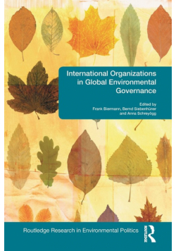 International Organizations in Global Environmental Governance