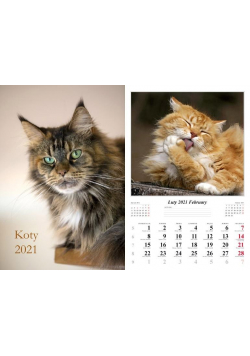 Kalendarz 2021 Koty 7 planszowy RADWAN