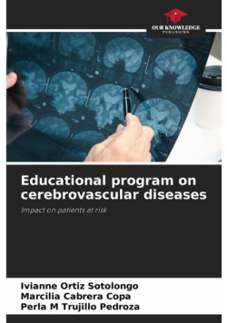 Educational program on cerebrovascular diseases