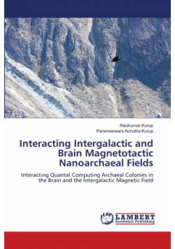 Interacting Intergalactic and Brain Magnetotactic Nanoarchaeal Fields