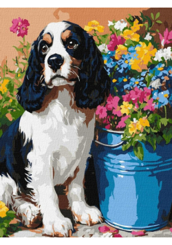 Malowanie po numerach - Uroczy spaniel 30x40cm