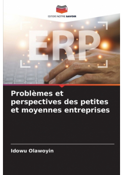 Problèmes et perspectives des petites et moyennes entreprises