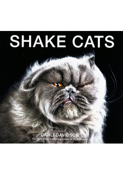 Shake Cats
