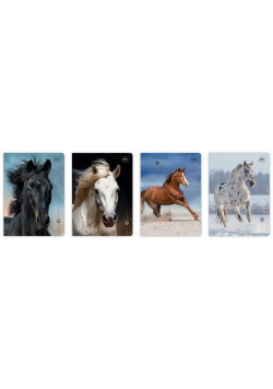 Zeszyt A5/16K 3kol linia UV Wild Horses (20szt)