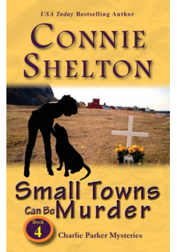 Small Towns Can Be Murder