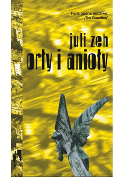 Orły i anioły