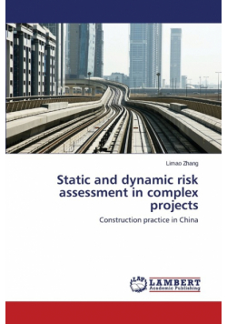 Static and dynamic risk assessment in complex projects