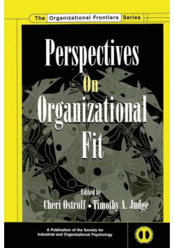 Perspectives on Organizational Fit
