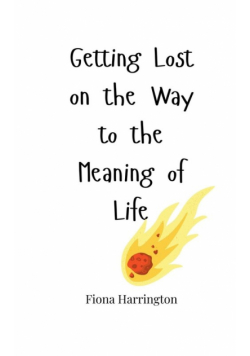 Getting Lost on the Way to the Meaning of Life