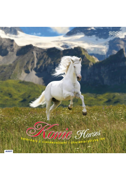 Kalendarz 2022 KAD-11 Konie AVANTI