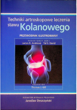 Techniki artroskopowe leczenia stawu kolanowego Ilustrowany przewodnik