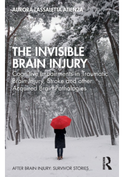 The Invisible Brain Injury