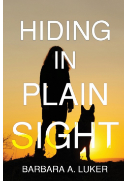 Hiding in Plain Sight
