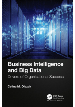 Business Intelligence and Big Data