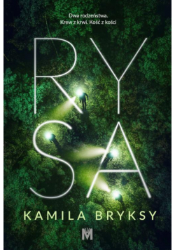 Rysa