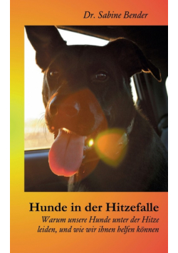 Hunde in der Hitzefalle