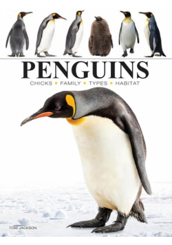 Penguins