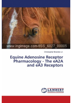Equine Adenosine Receptor Pharmacology - The eA2A and eA3 Receptors