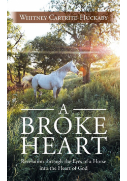 A Broke Heart
