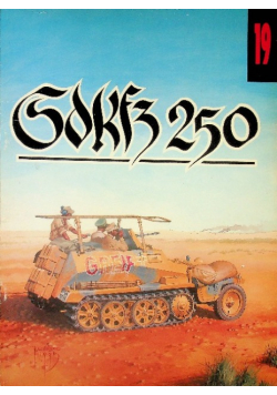 Sd Kfz 250 Nr 19