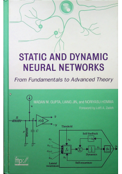 Static and dynamic neutral networks